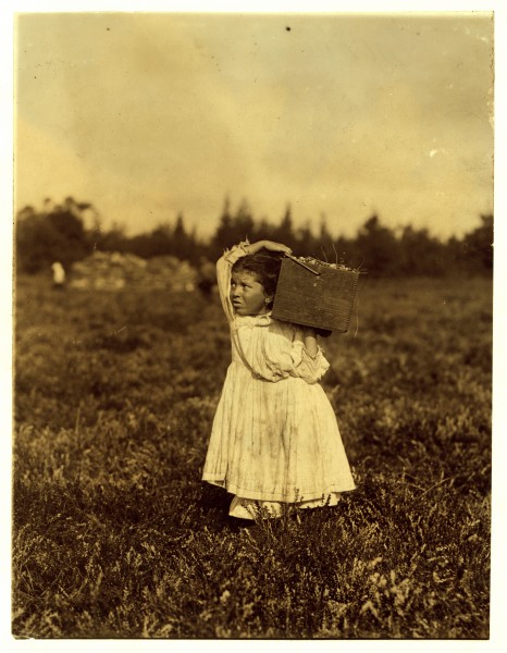 Lewis Hine, Jennie Camillo, 8 years, cranberry picker, Pemberton, New Jersey, 1910