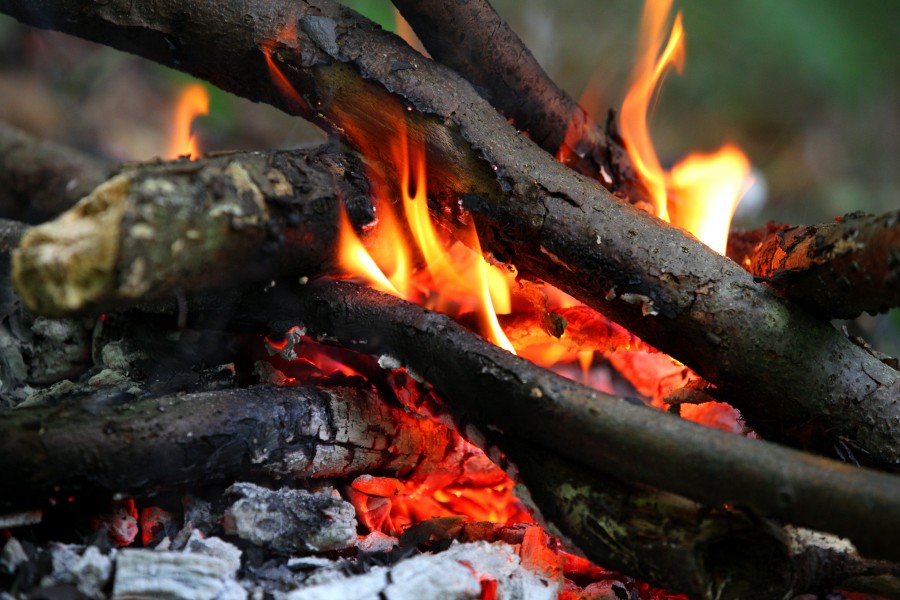 a fire lit in a forest in July 2013, picture 1/2