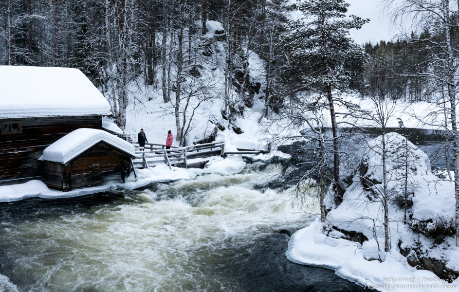 Oulanka, Finland, photographed in January 2020 by Serhiy Lvivsky, picture 1