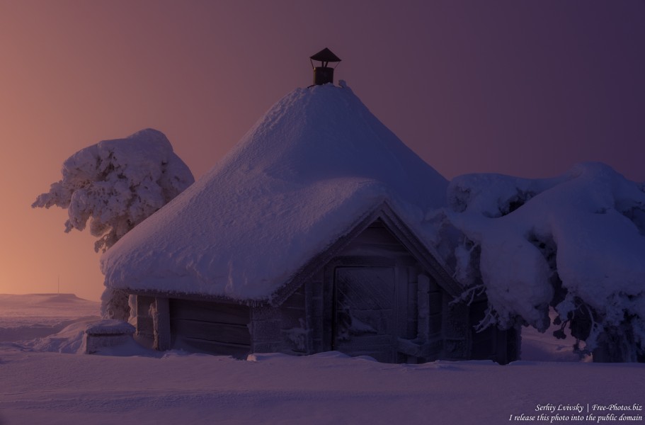 Sallatunturi, Finland, photographed in January 2020 by Serhiy Lvivsky, picture 15