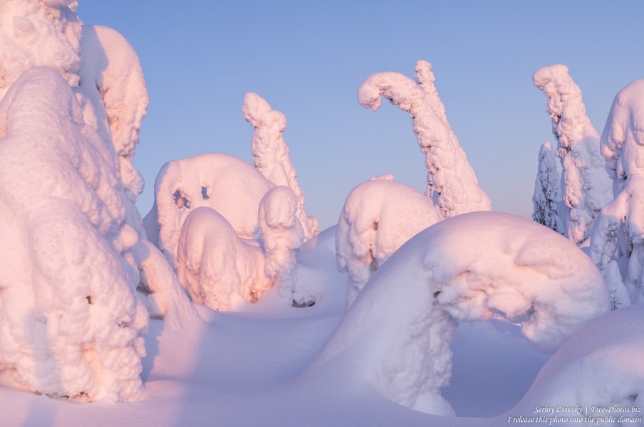 Valtavaara, Finland, photographed in January 2020 by Serhiy Lvivsky, picture 20