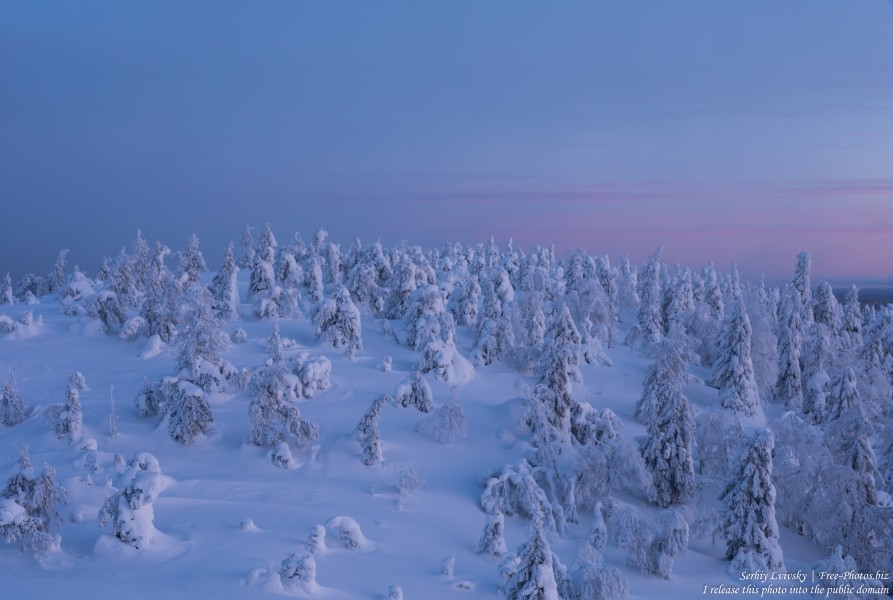 Valtavaara, Finland, photographed in January 2020 by Serhiy Lvivsky, picture 54