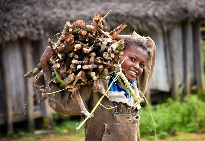 Sticks for Home, Madagascar (23285009832)