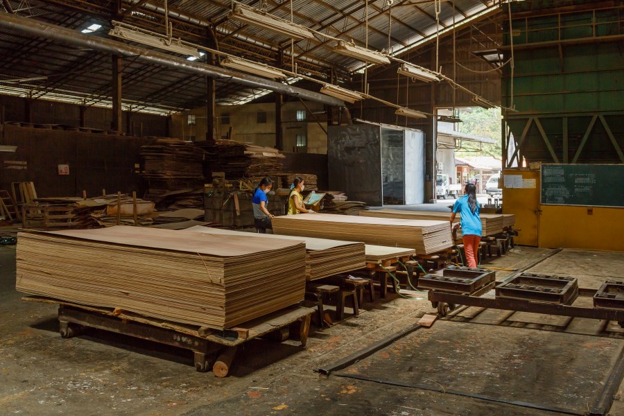 Sandakan Sabah Plywood-Factory-54