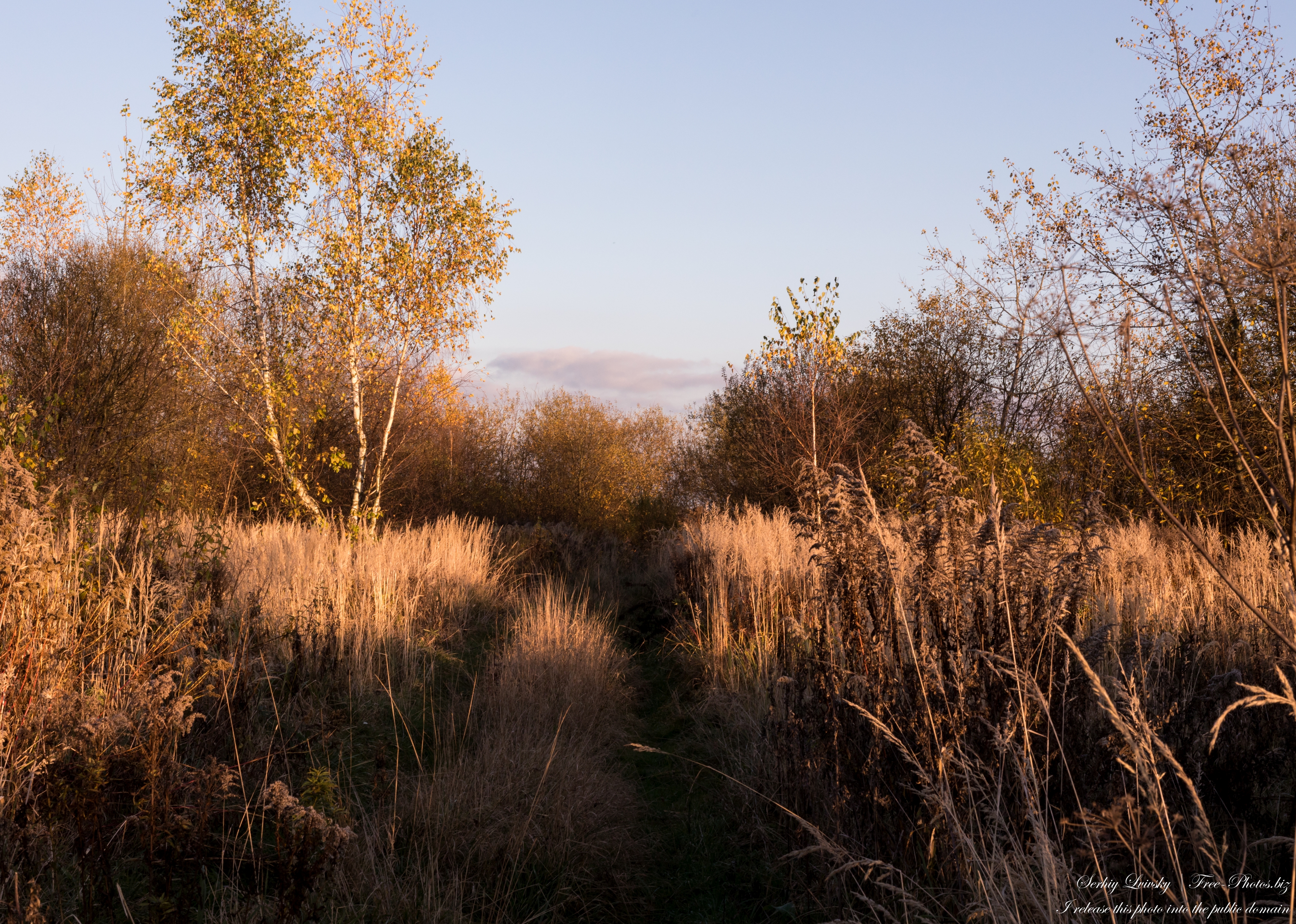 nature_in_lviv_region_of_ukraine_in_nov_2020_photographed_by_serhiy_lvivsky_05