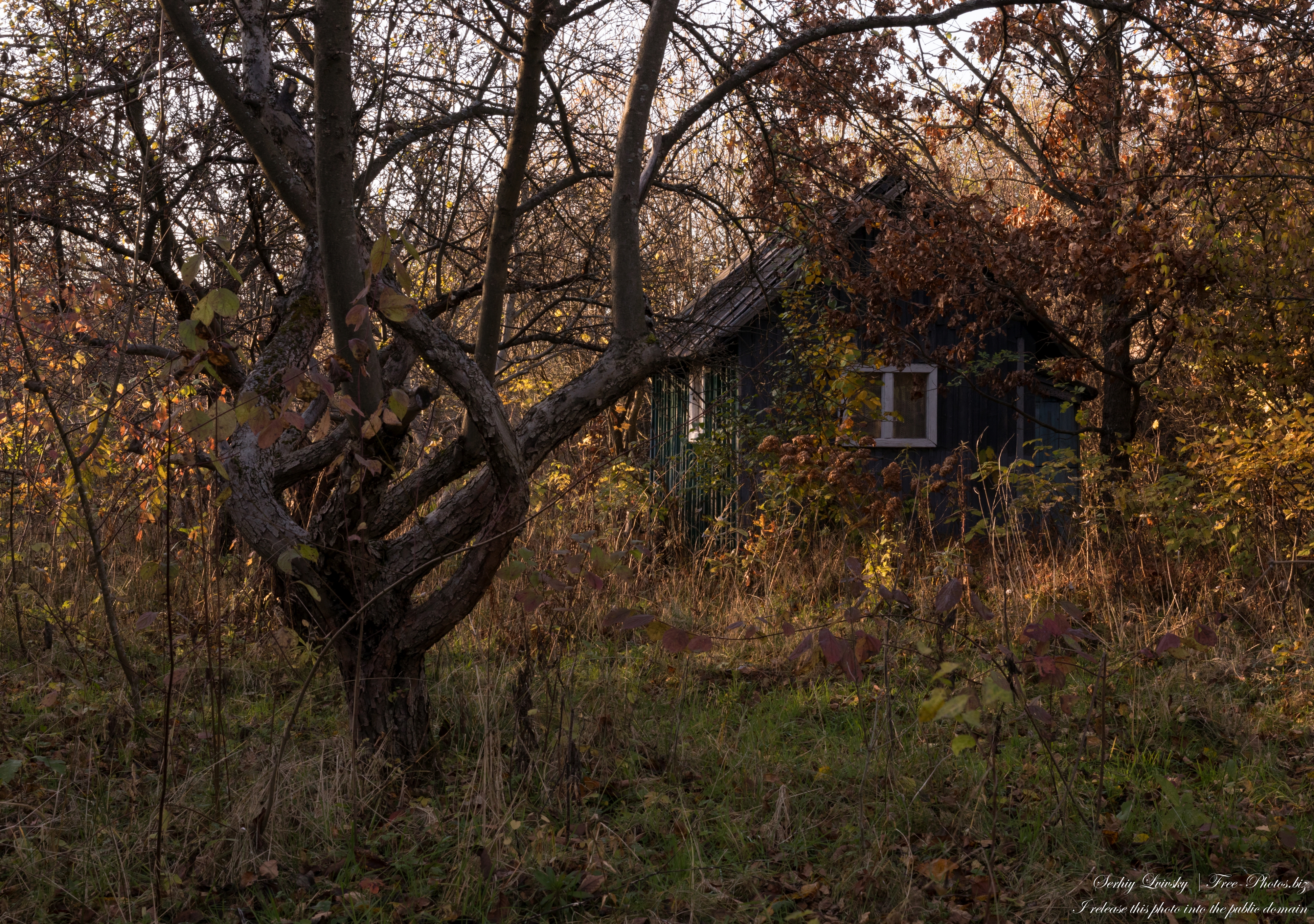 nature_in_lviv_region_of_ukraine_in_nov_2020_photographed_by_serhiy_lvivsky_09