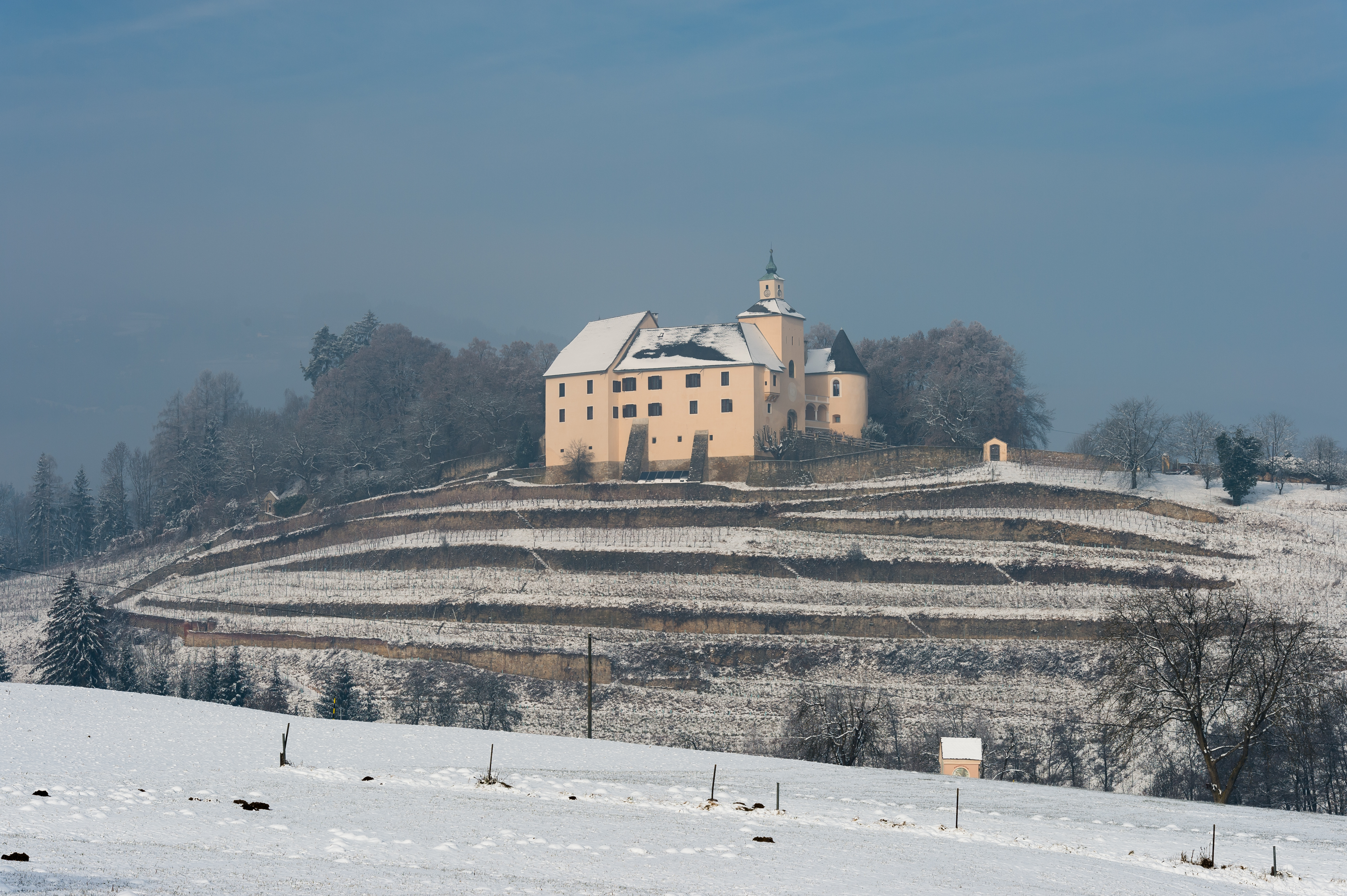 Wolfsberg Thuern 1 Schloss Thuern mit Weinberg 08012016 2621