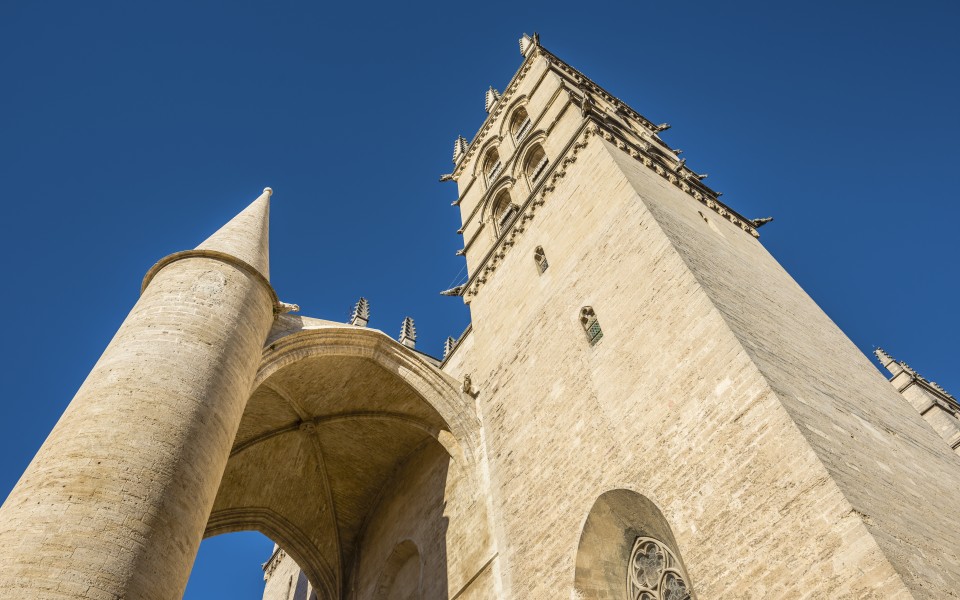 Cathédrale Saint-Pierre de Montpellier 02