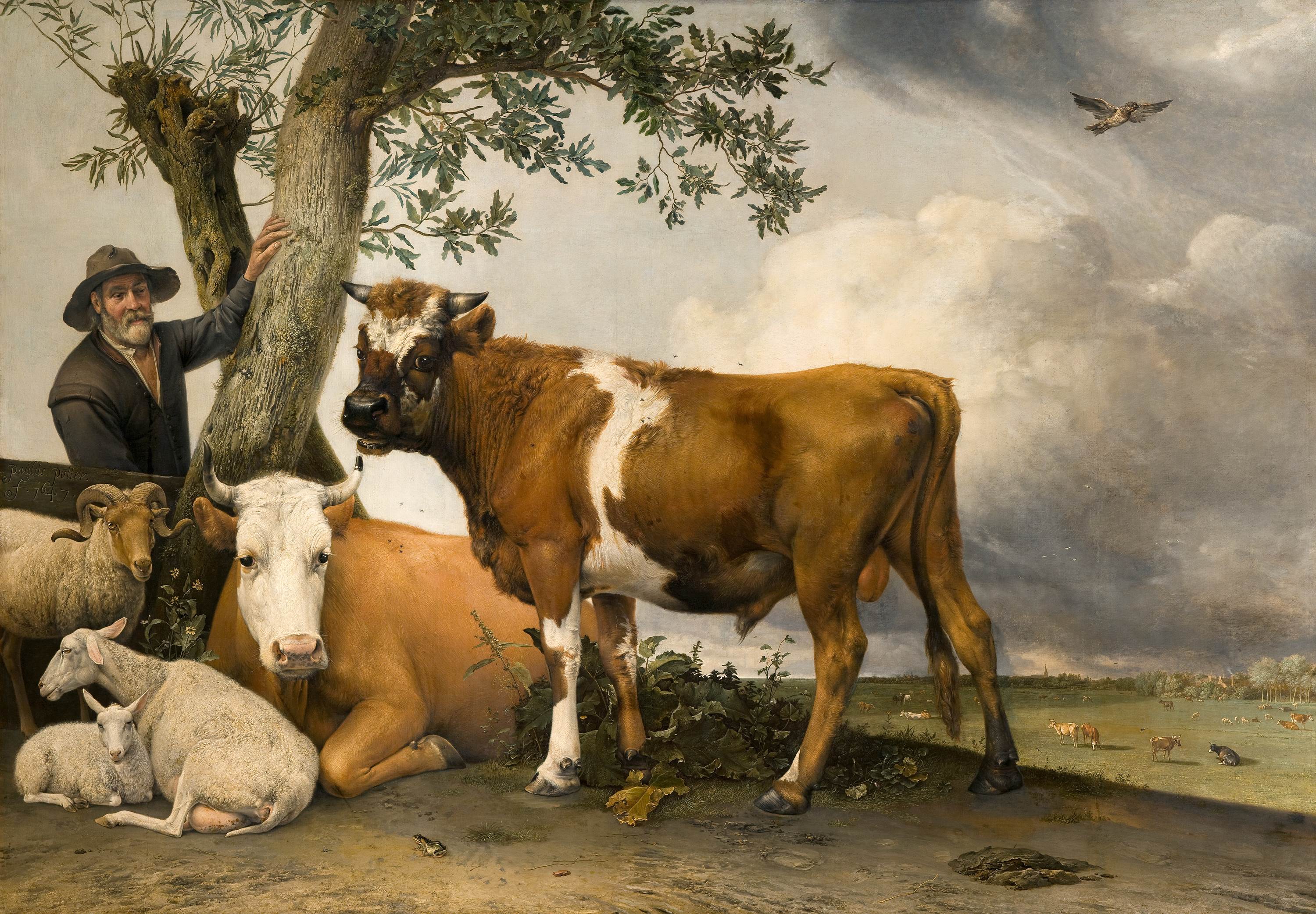 Paulus Potter - De Stier