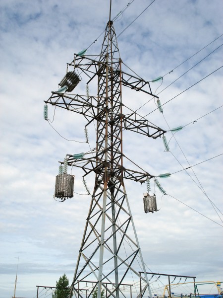 Electricity pylon whith line traps and optical fiber cable