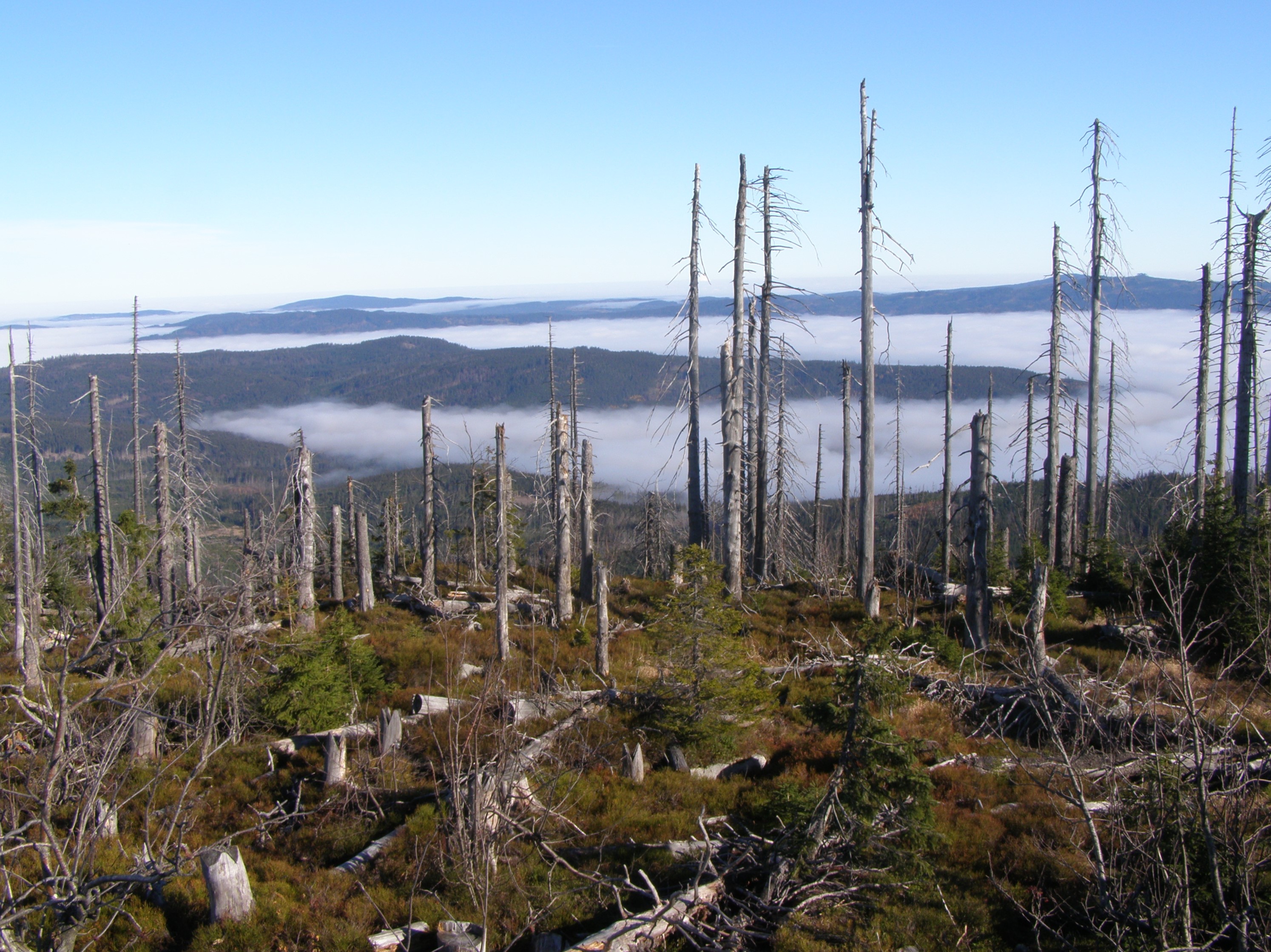 Šumava National Park