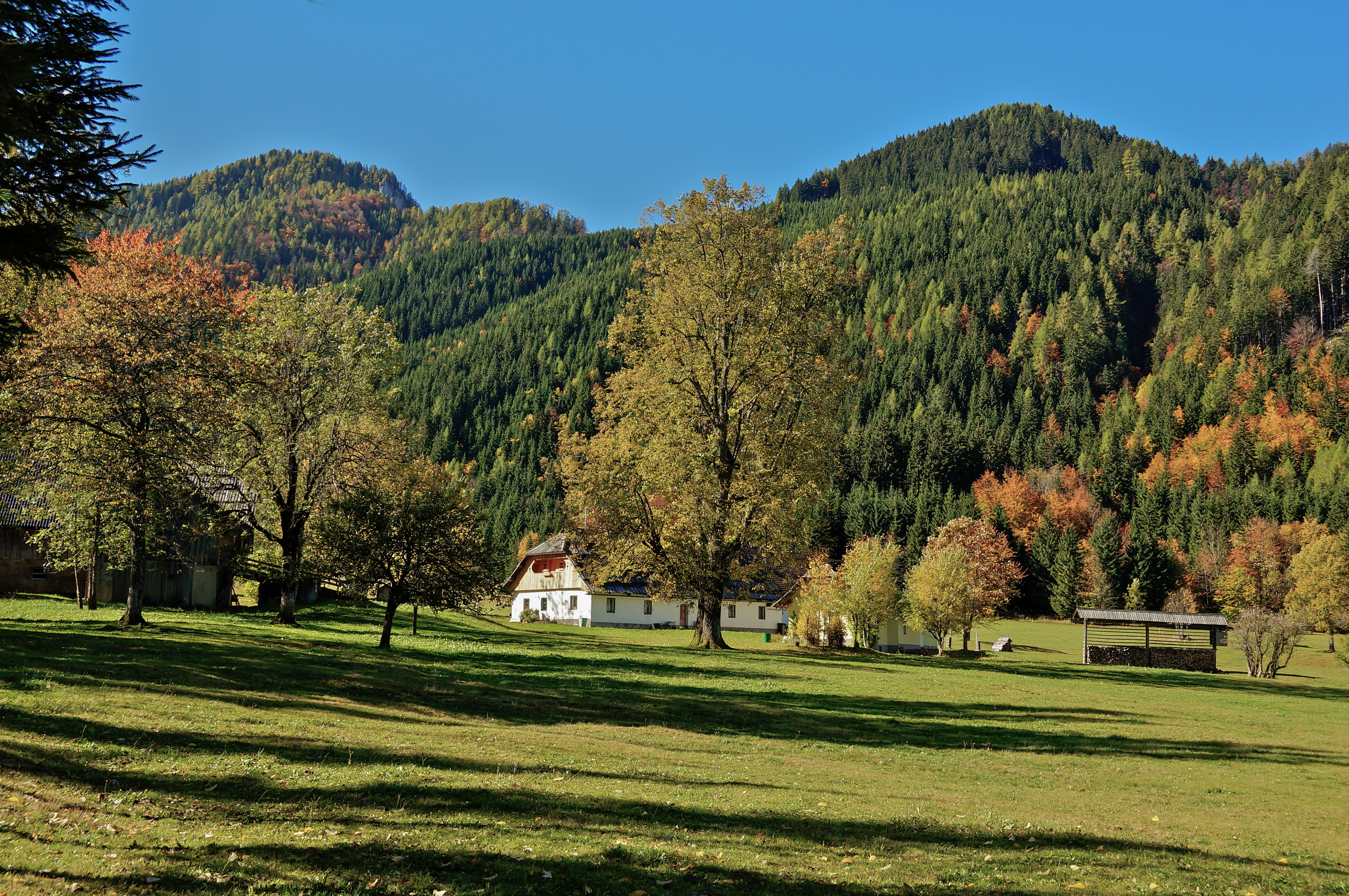 Ferlach Bodental Bodenbauer 16102013 964