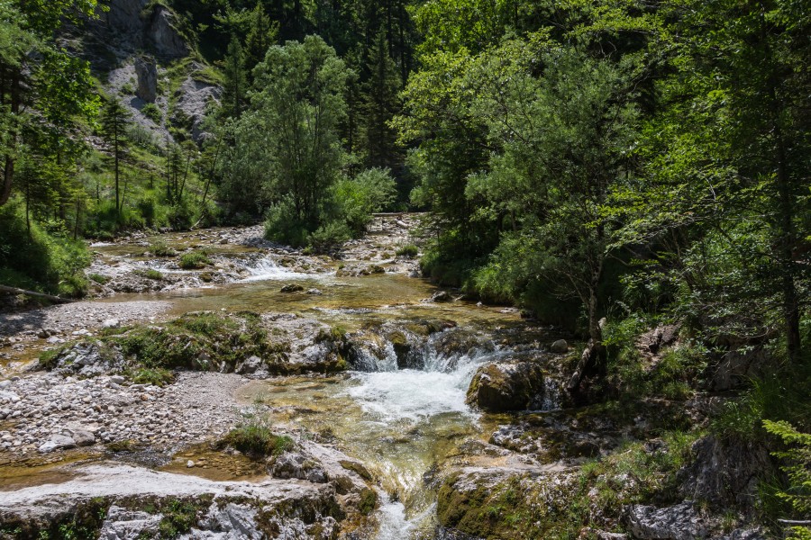 Ötscherbach 01