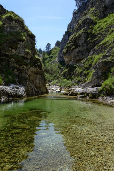 Ötscherbach 06