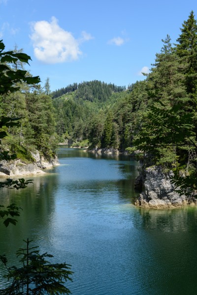 Erlauf-Stausee 04