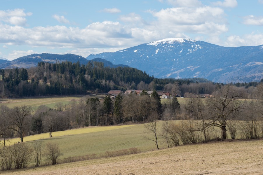 Feldkirchen Nassweg und Gerlitzen 05032015 0270