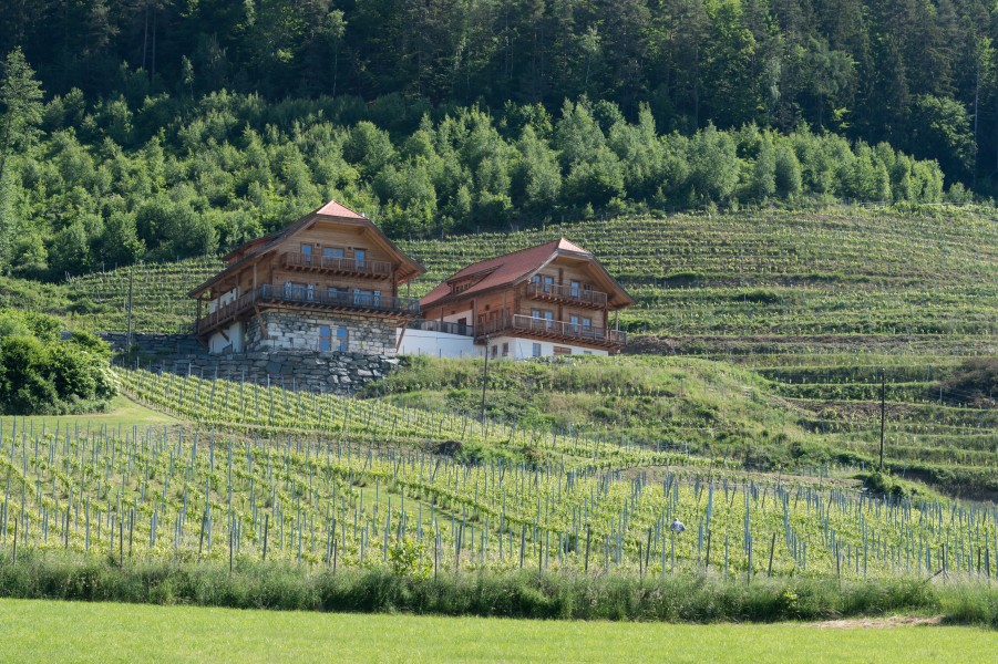 Klagenfurt Woelfnitz Leiten 6 Weingut Karnburg 28052015 0966