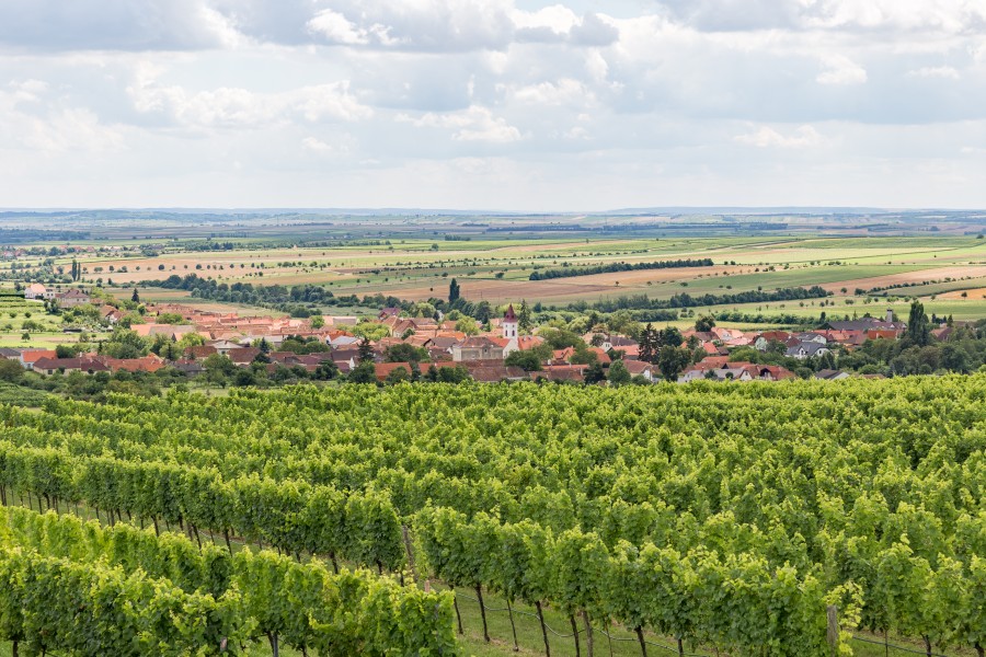 Mitterretzbach vom hl. Stein 1317-HDR