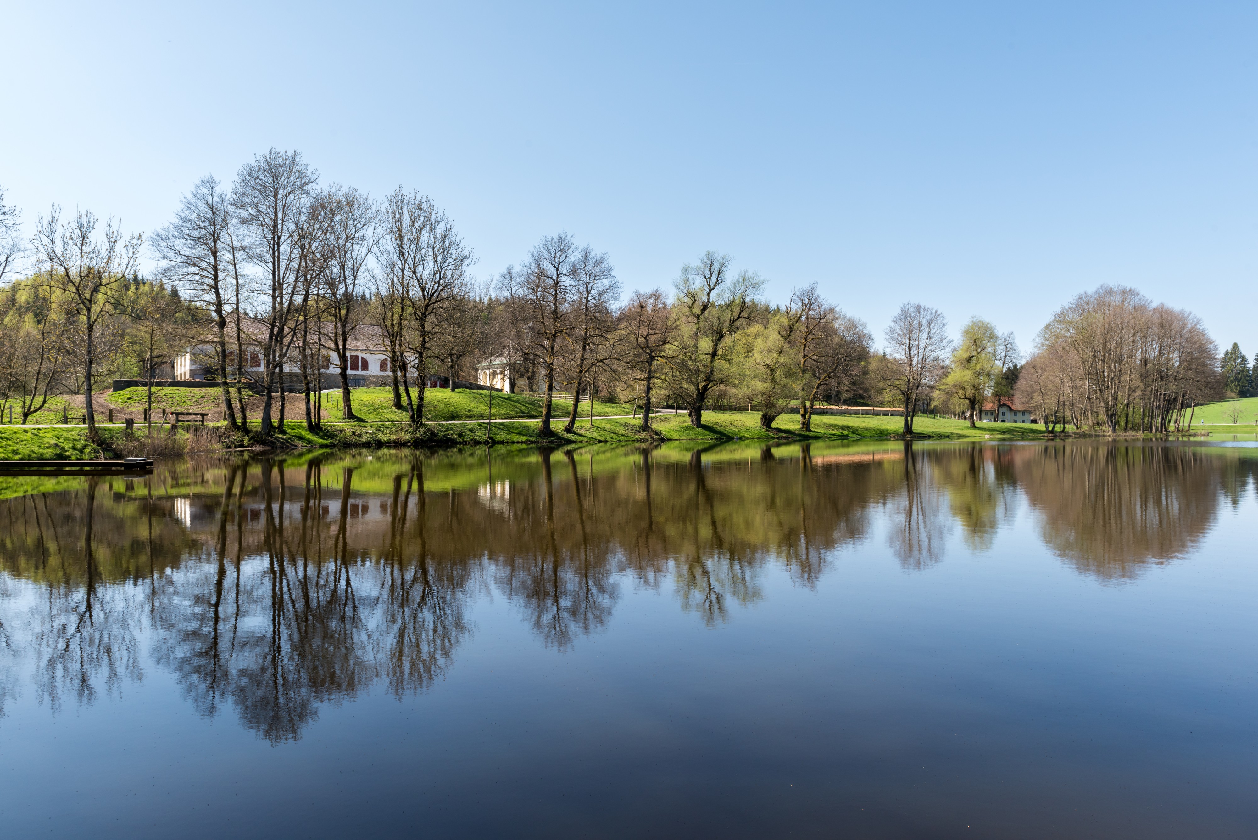 Feldkirchen Dietrichstein Dietrichsteiner See 19042018 2992