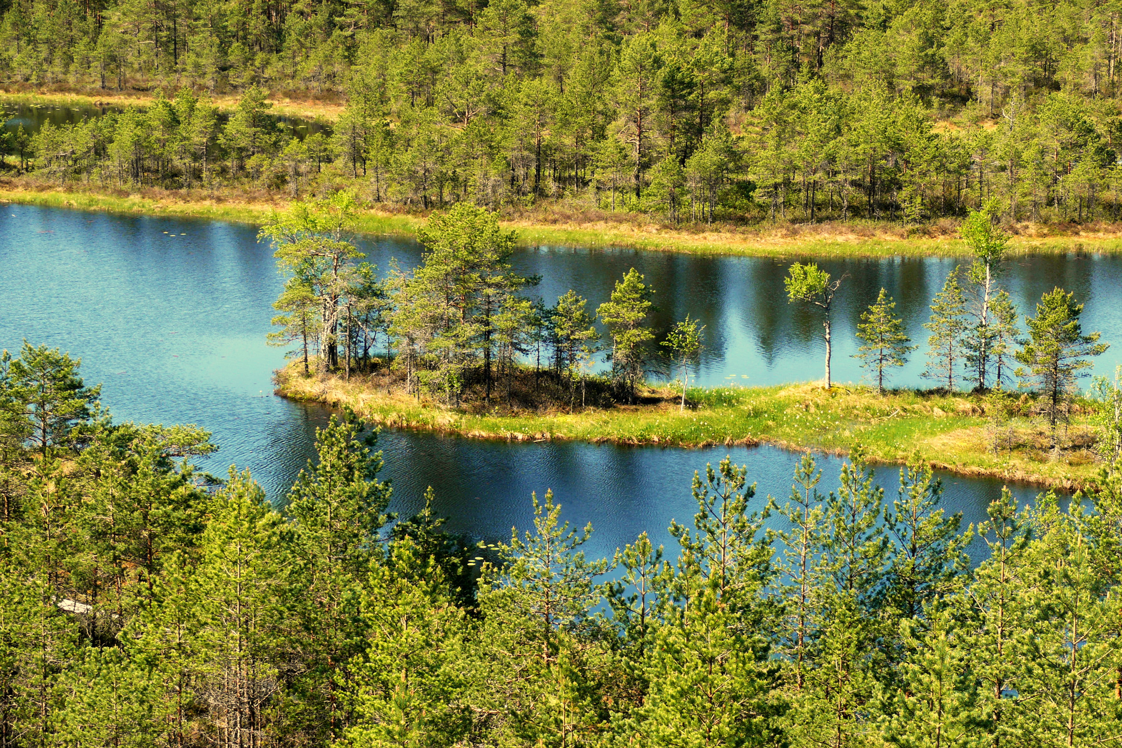 Mukri raba järv