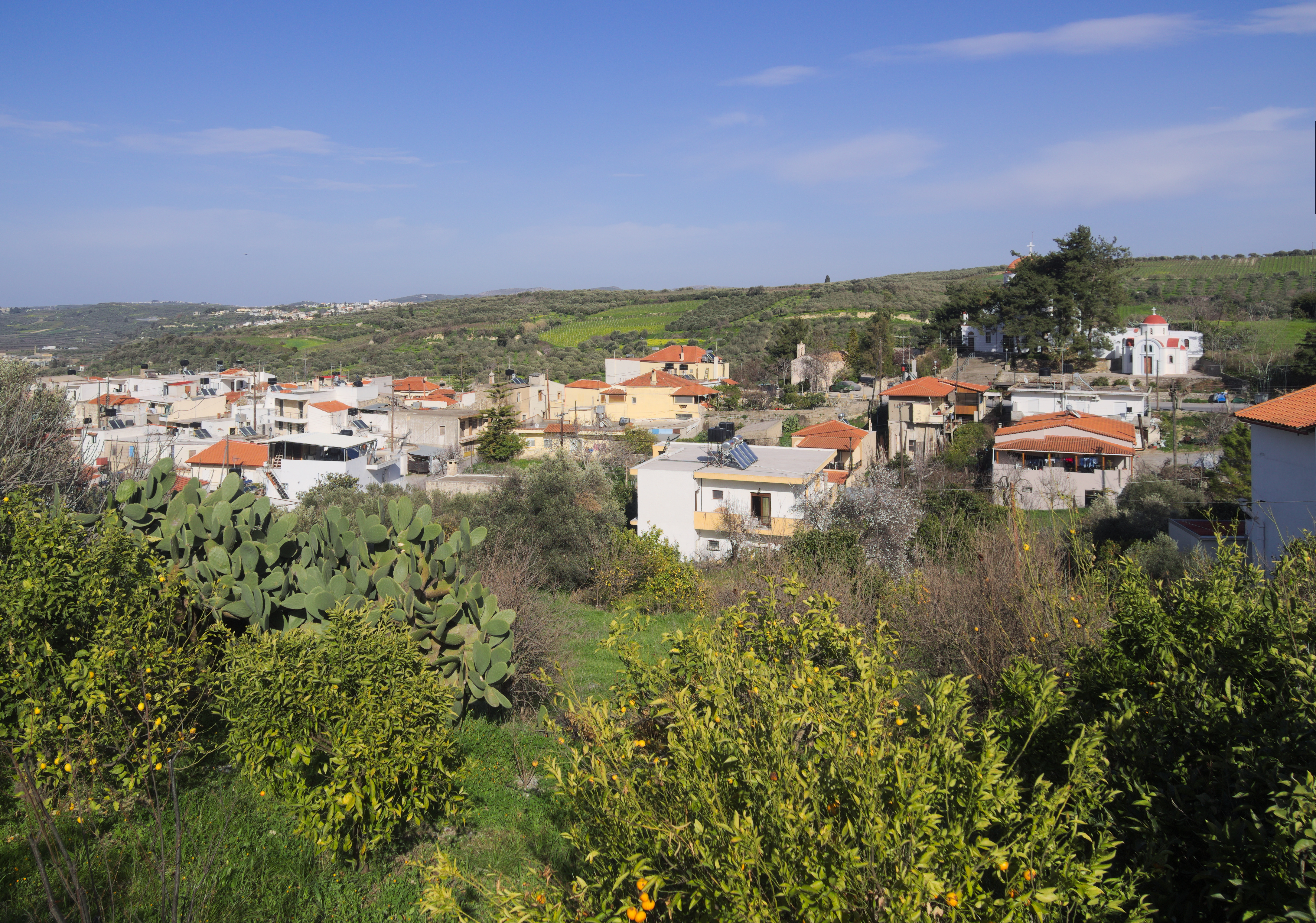 Άγιος Βασίλειος Ηρακλείου 7951