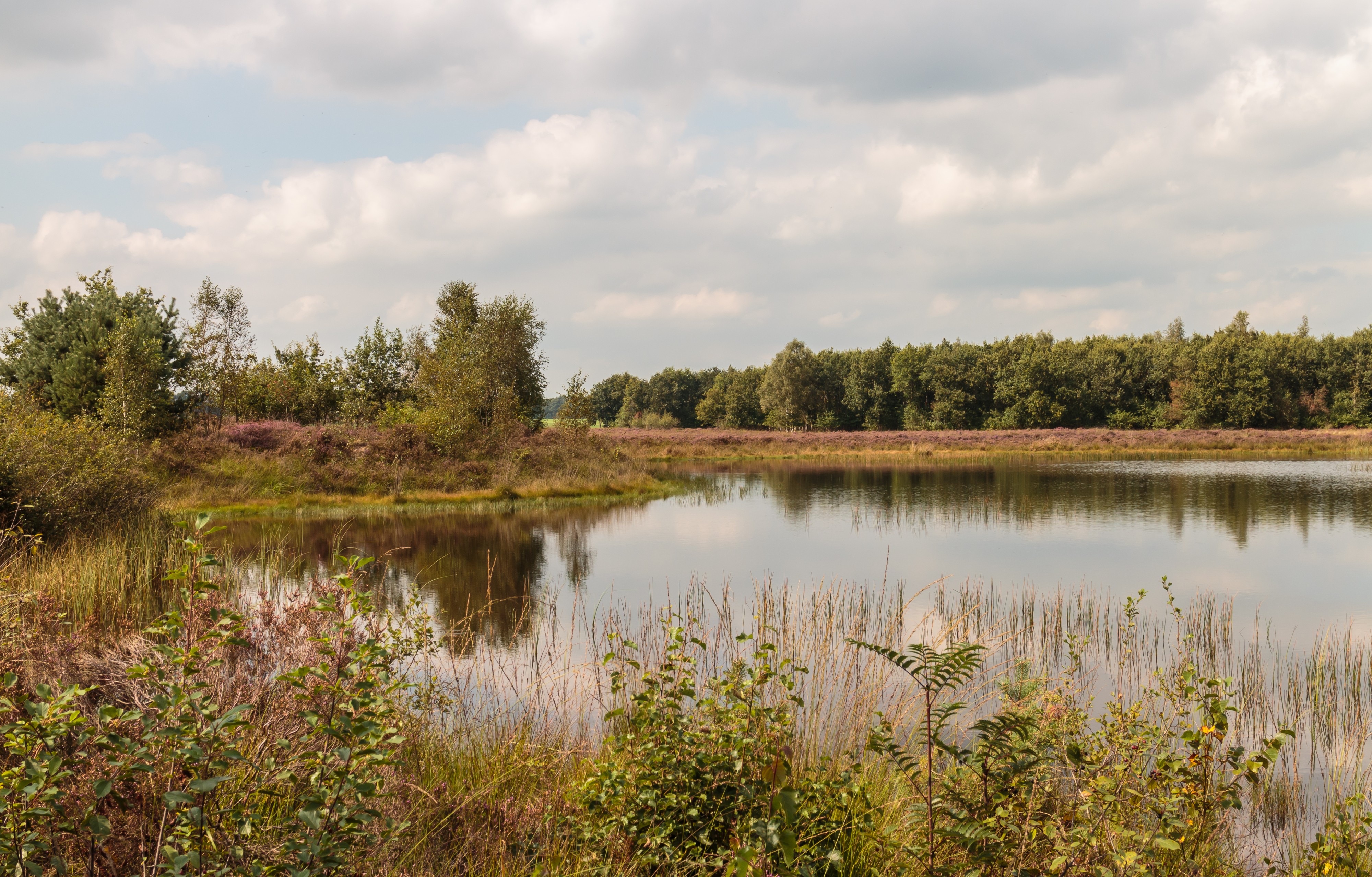 Schapenpoel (Schaopedobbe). Locatie, Schaopedobbe (Schapenpoel) 01