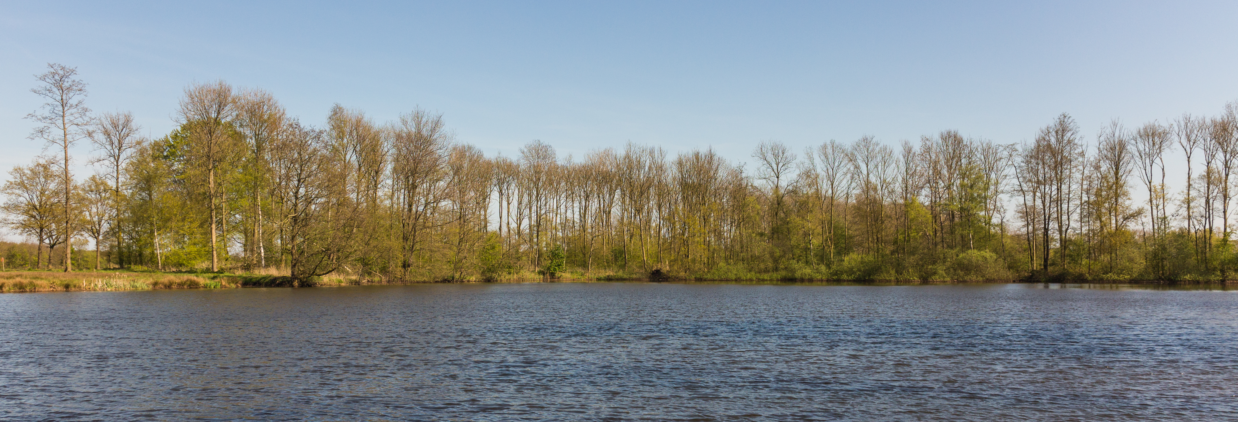 Uitzicht over de Bekhofplas. Locatie, natuurterrein Beekdal Linde Bekhofplas 26