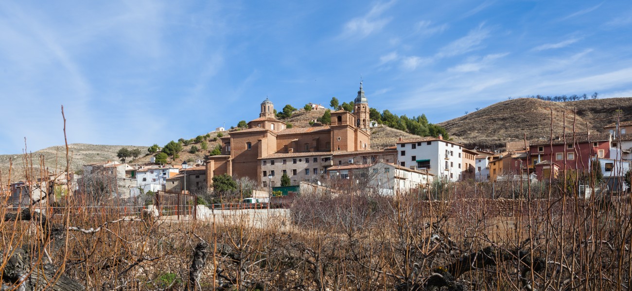 Villafeliche, Zaragoza, España, 2014-01-08, DD 01