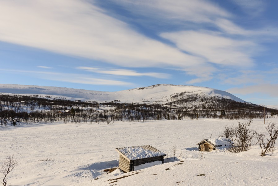 Torkilstöten Mars 2013 04