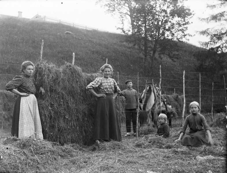 Hay-making