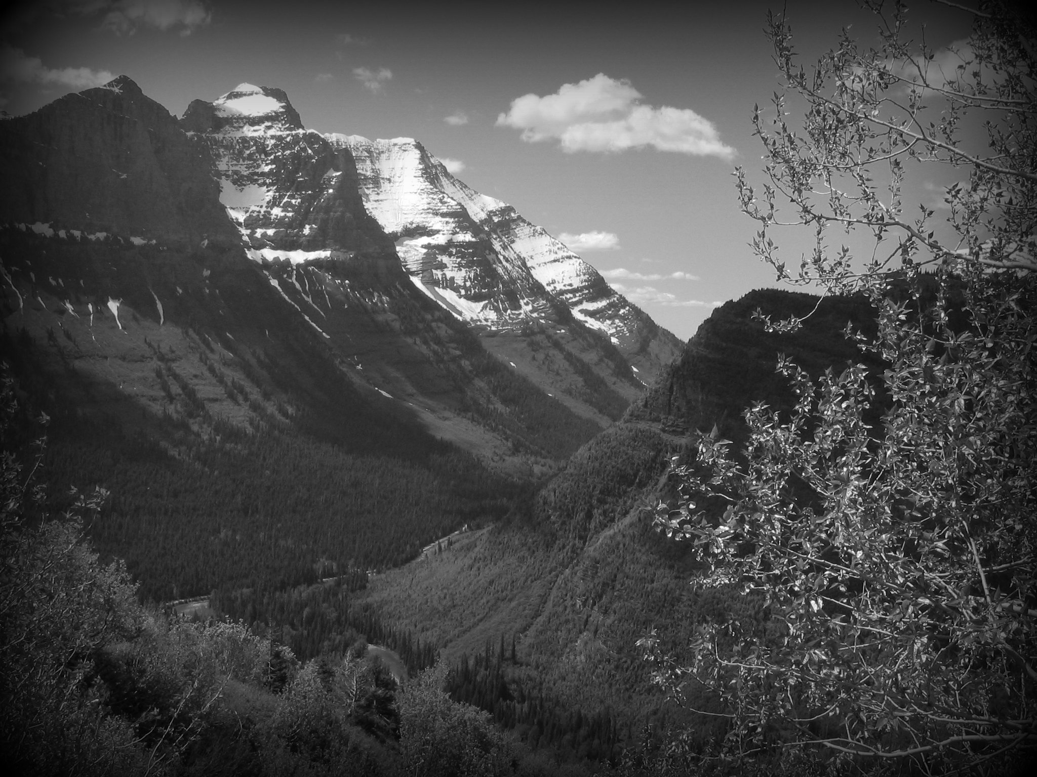 Sun Road, Glacier National Park