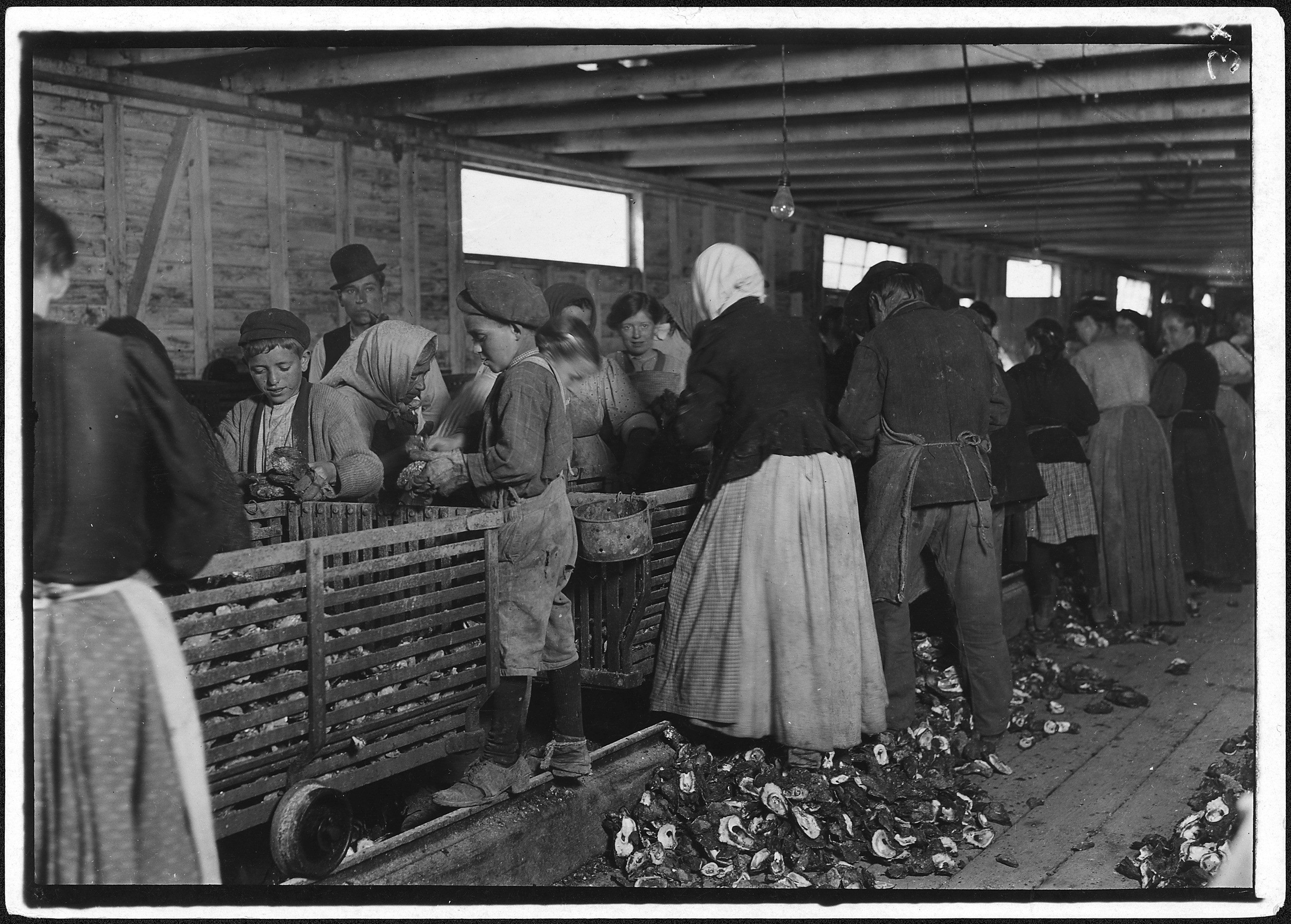 Johnnie, a nine year old oyster shucker. Man with pipe is a padrone who has brought these people from Baltimore for... - NARA - 523417