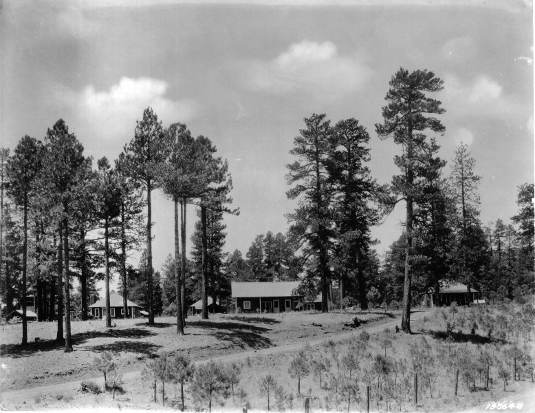 Southwestern Forest Experiment Station - 1924 (5375516041)