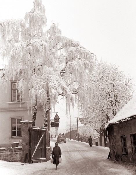 Zasnežene ulice v starem delu Maribora 1962 (2)