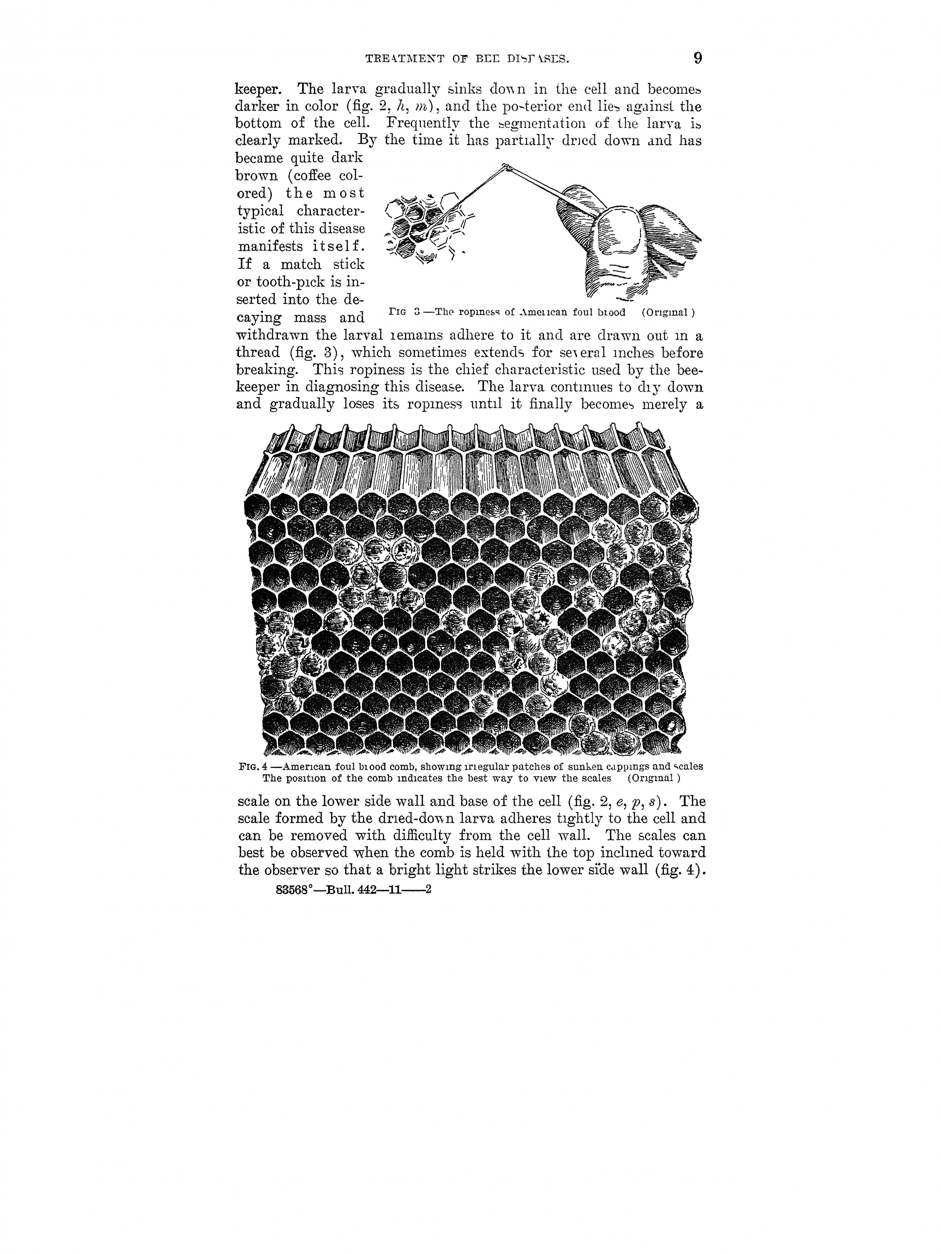 The treatment of bee diseases (Page 9) BHL42459331