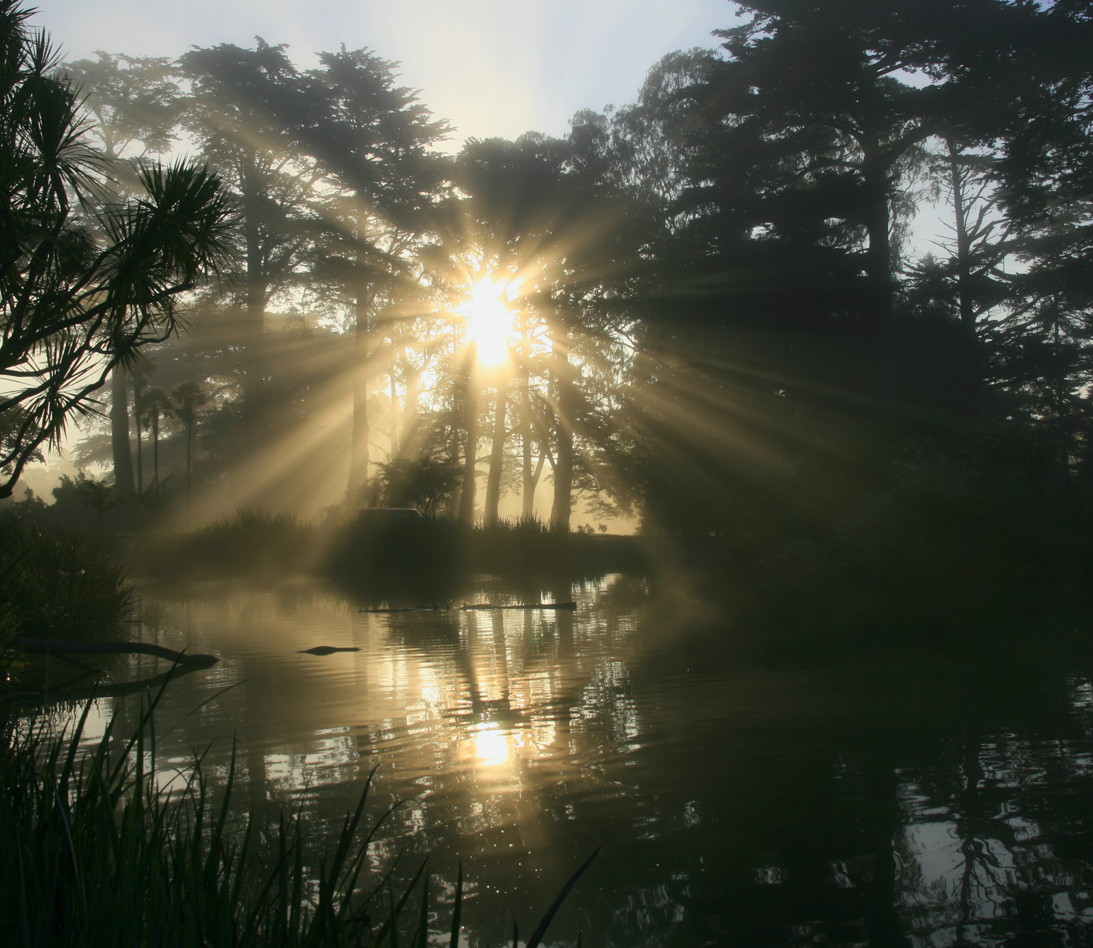 Crepuscular Rays in GGP