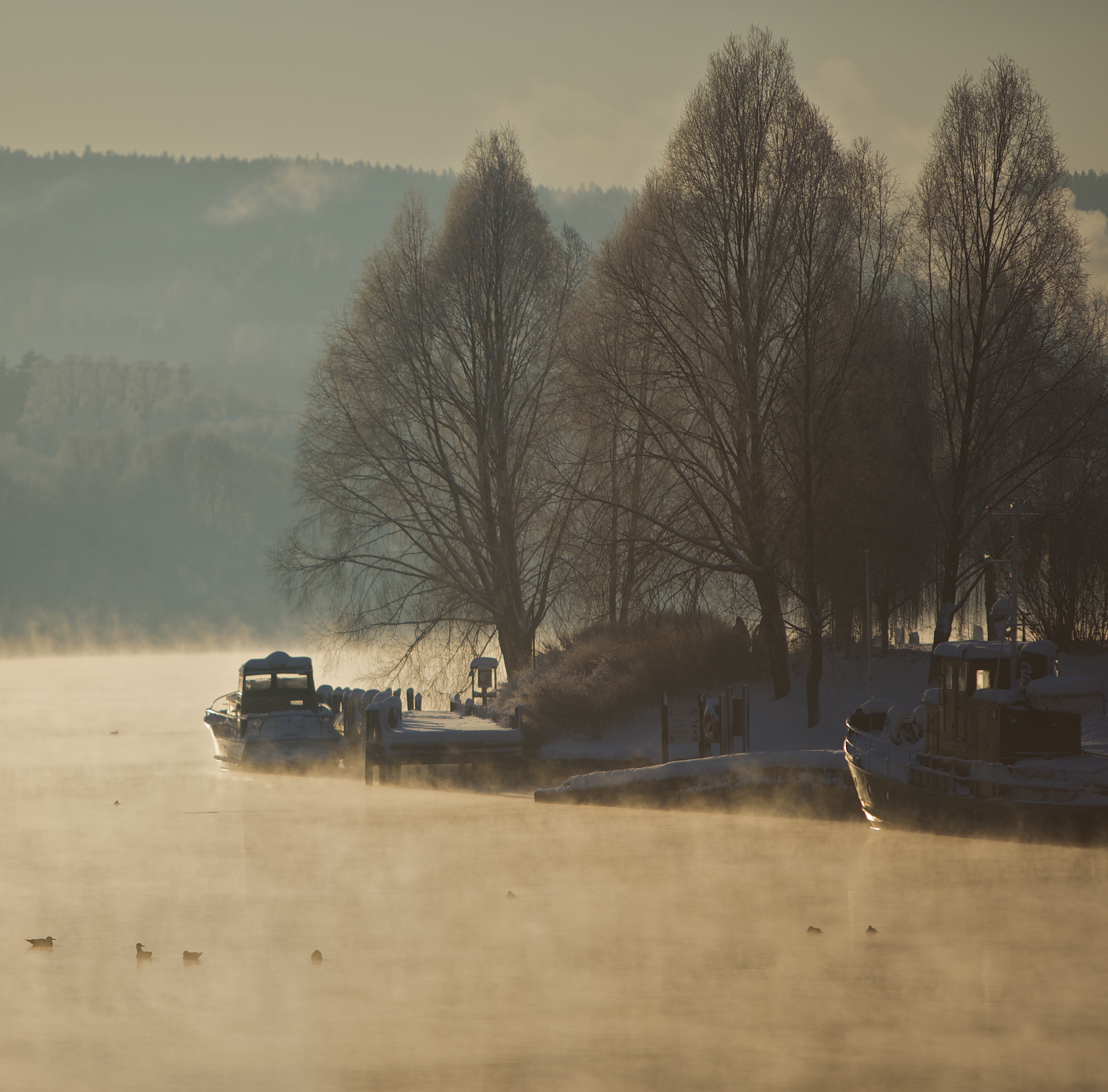 Frost mist on Hjellevannet