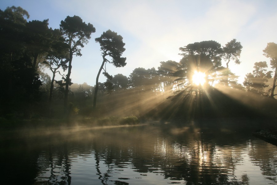 Crepuscular rays at Lloyd Lake