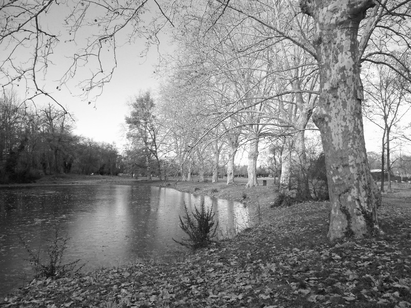 Toulouse - Lac de Barry - 20101227 (1)