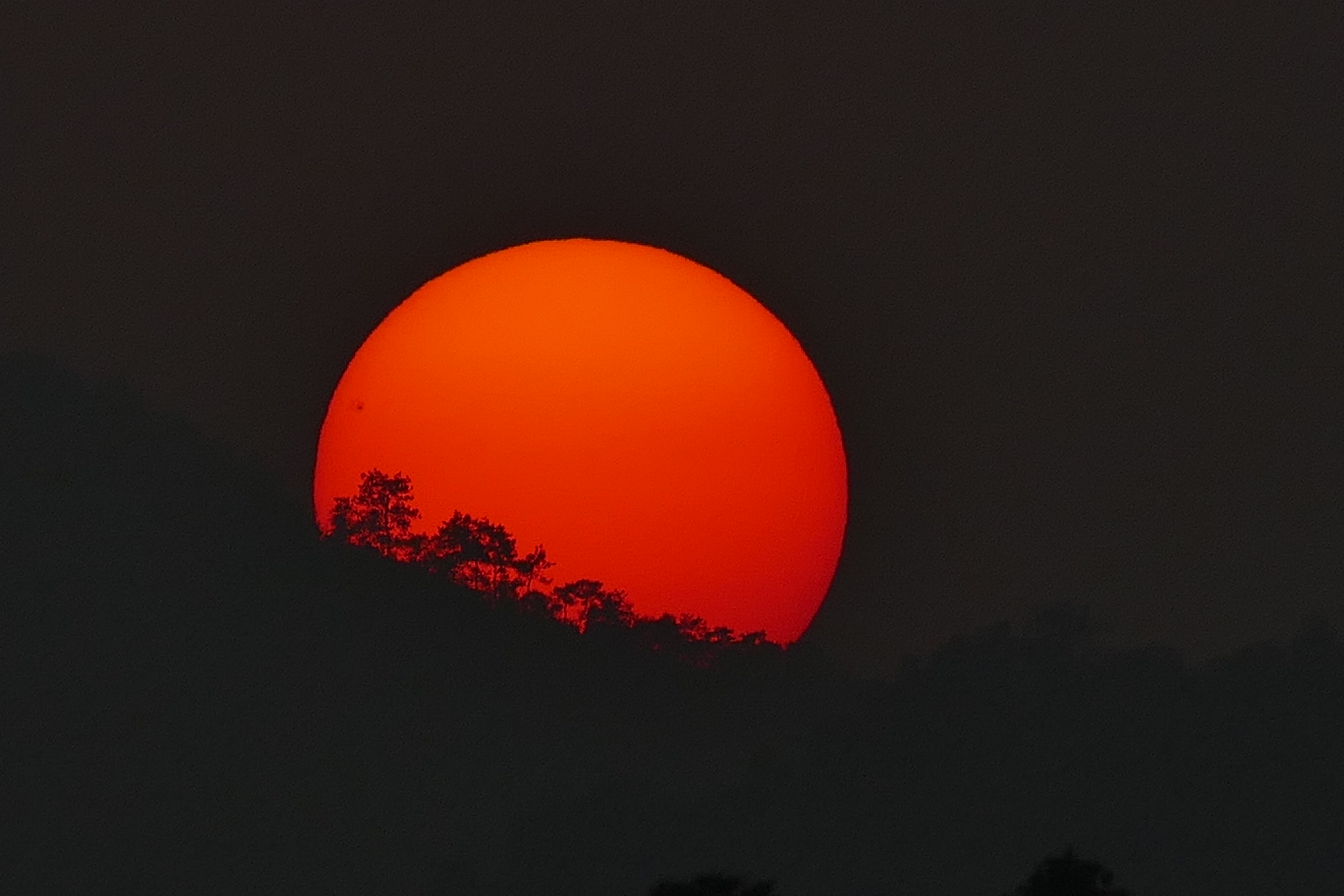 2014.11.21.164541 Tree silhouettes sunspots sunset Xihu Hangzhou