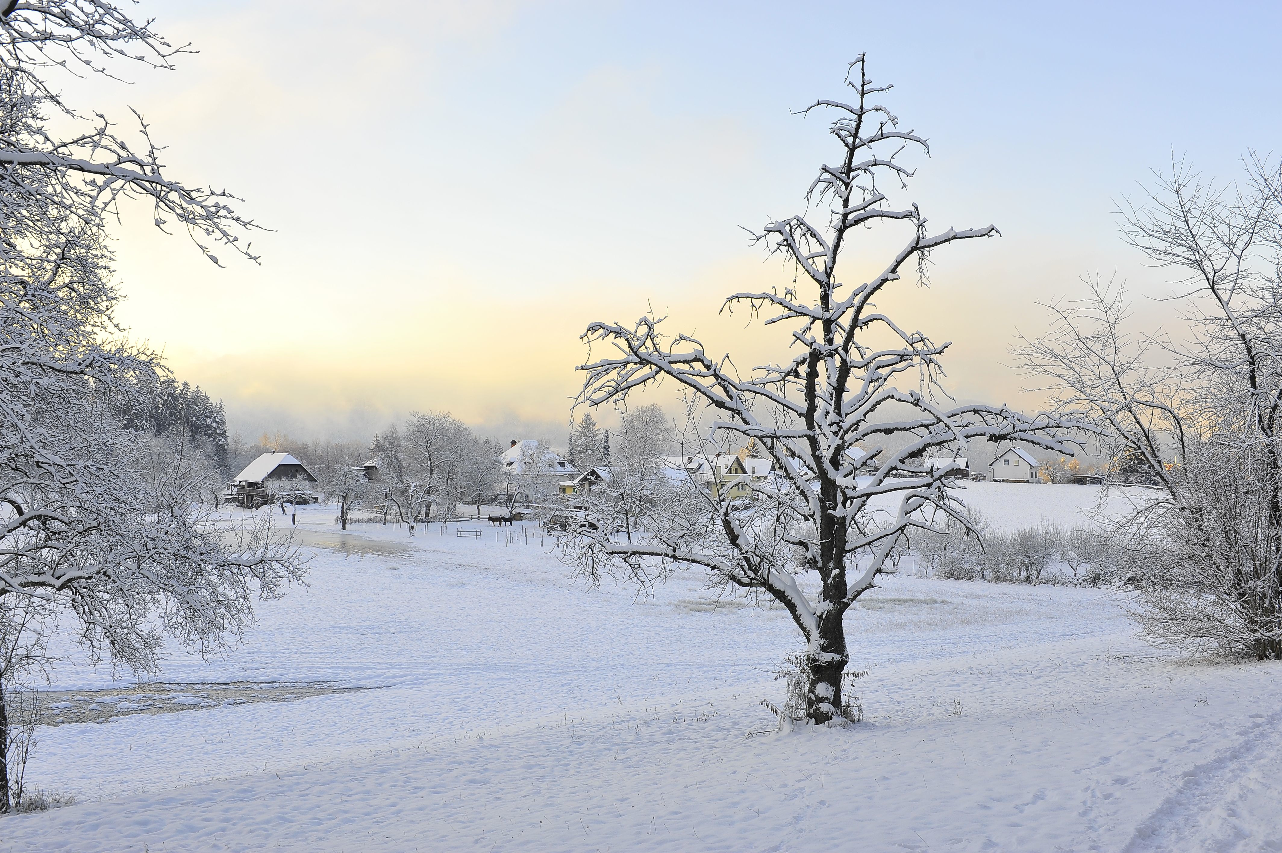 Poertschach Winklern Winterlandschaft 09122012 666