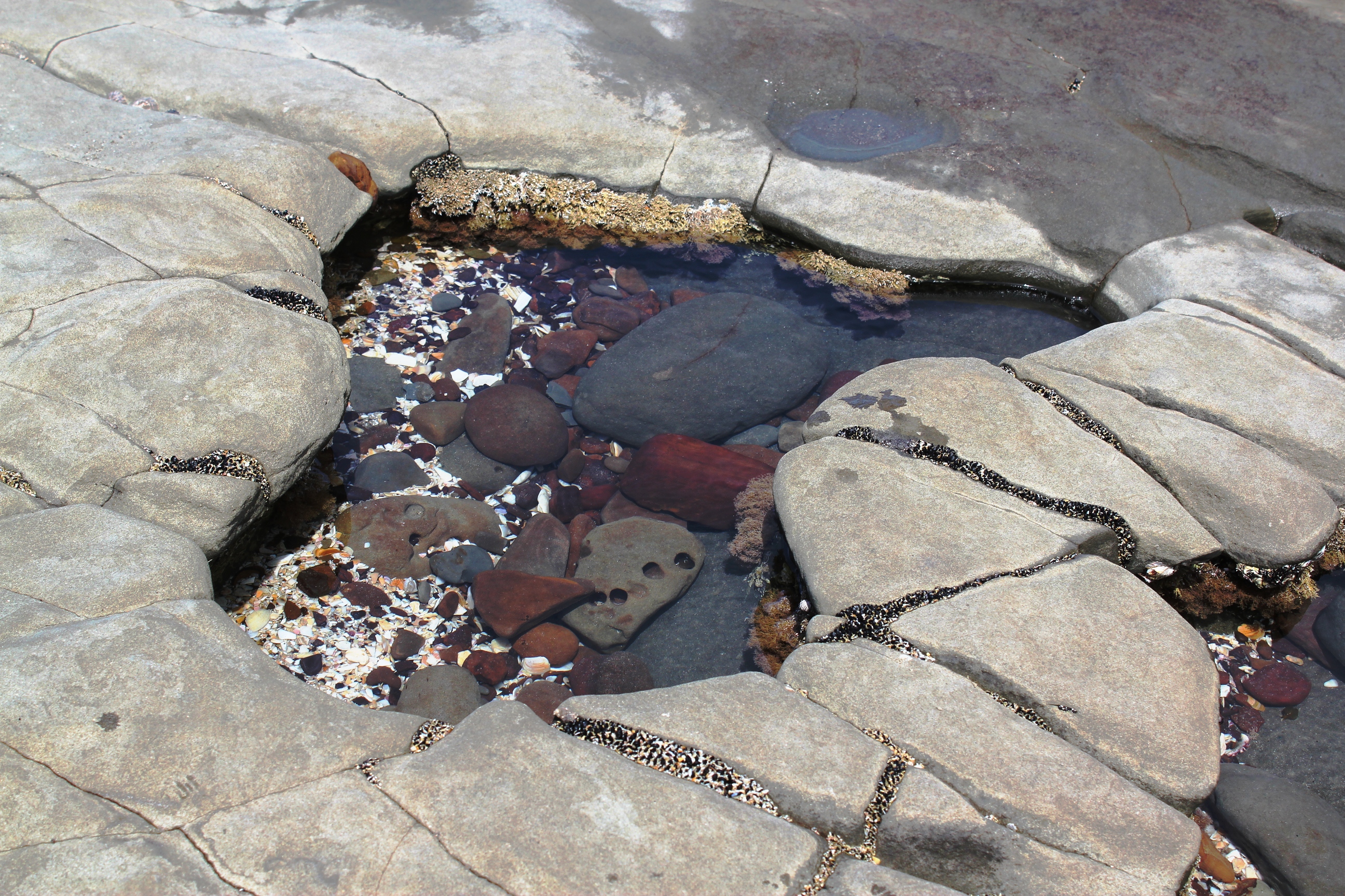 Rock pool at Granny's Bay