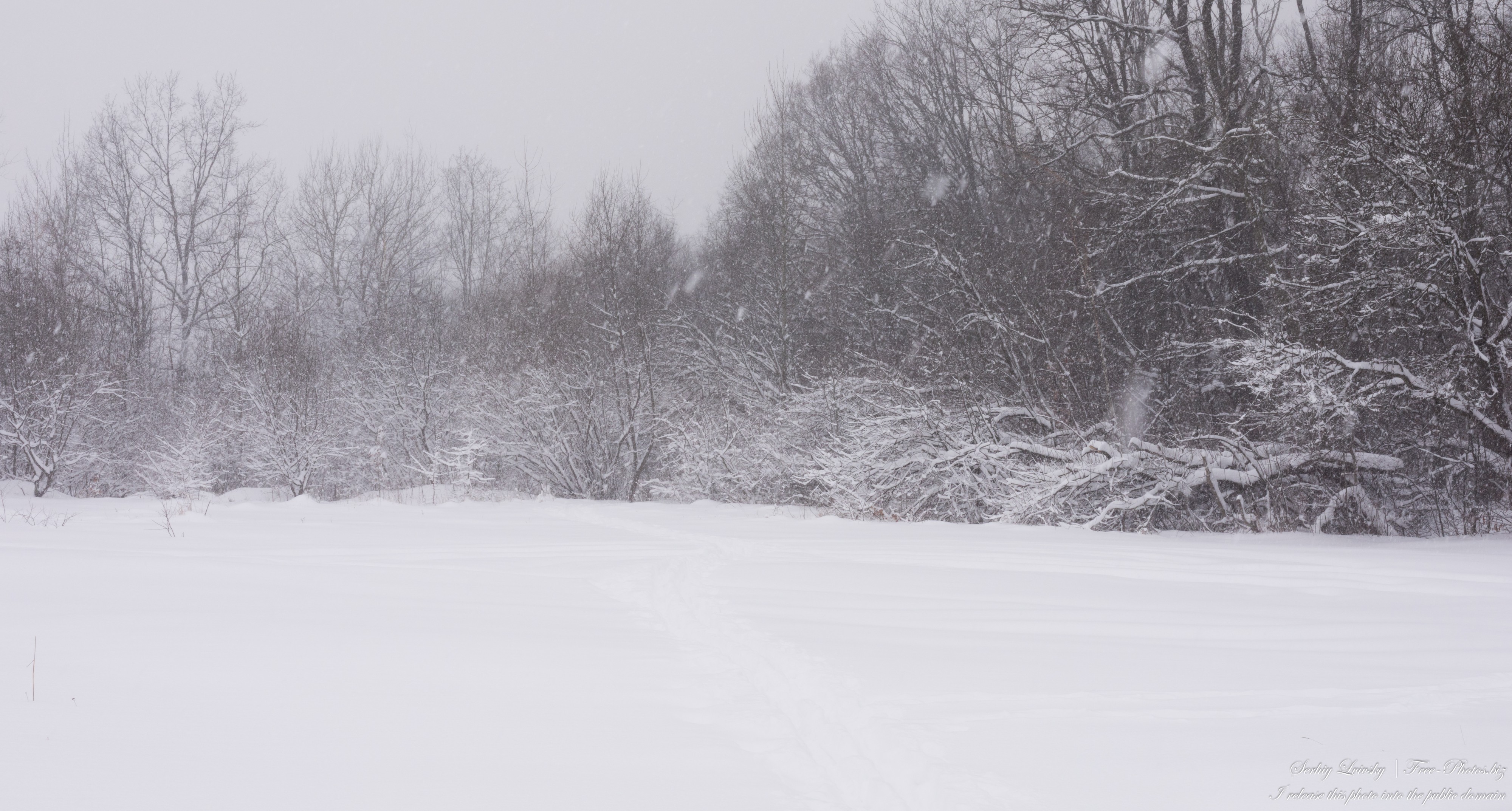 a snowstorm in Lviv region of Ukraine in February 2021 photographed by Serhiy Lvivsky, picture 7