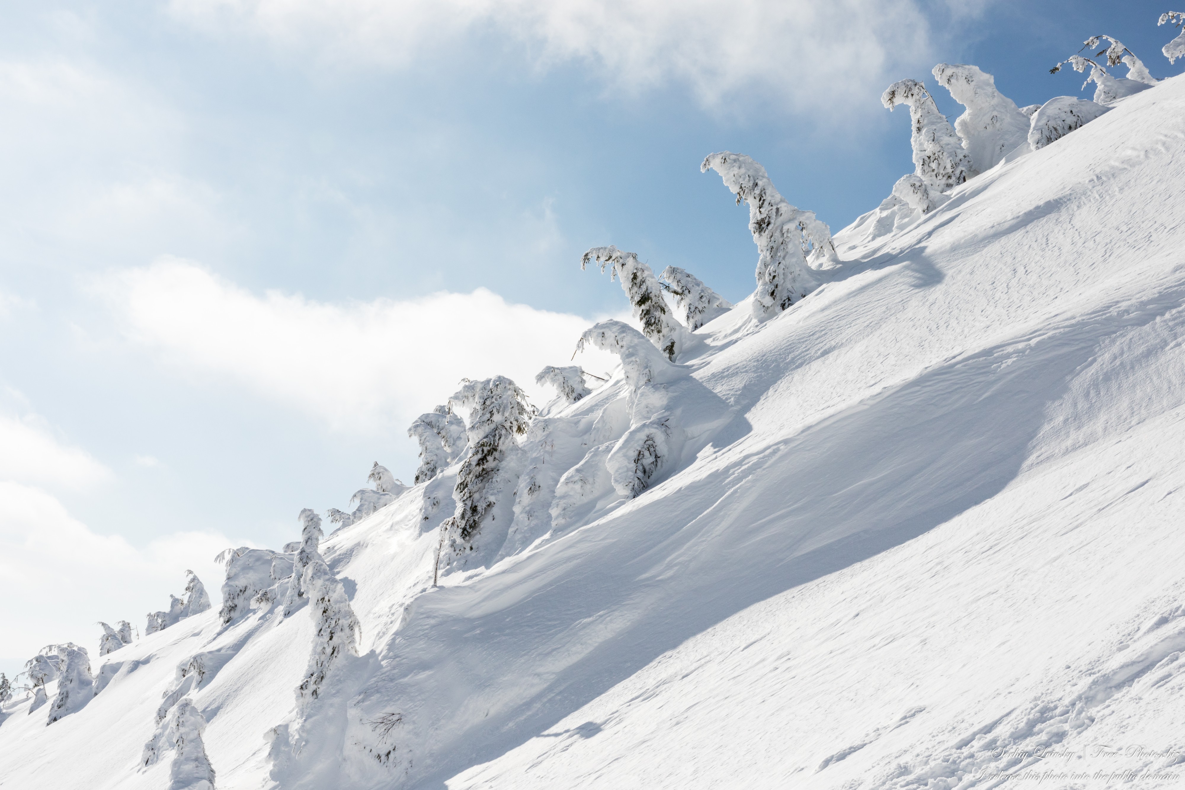 Carpathian mountains in Ukraine photographed in February 2022 by Serhiy Lvivsky, picture 10