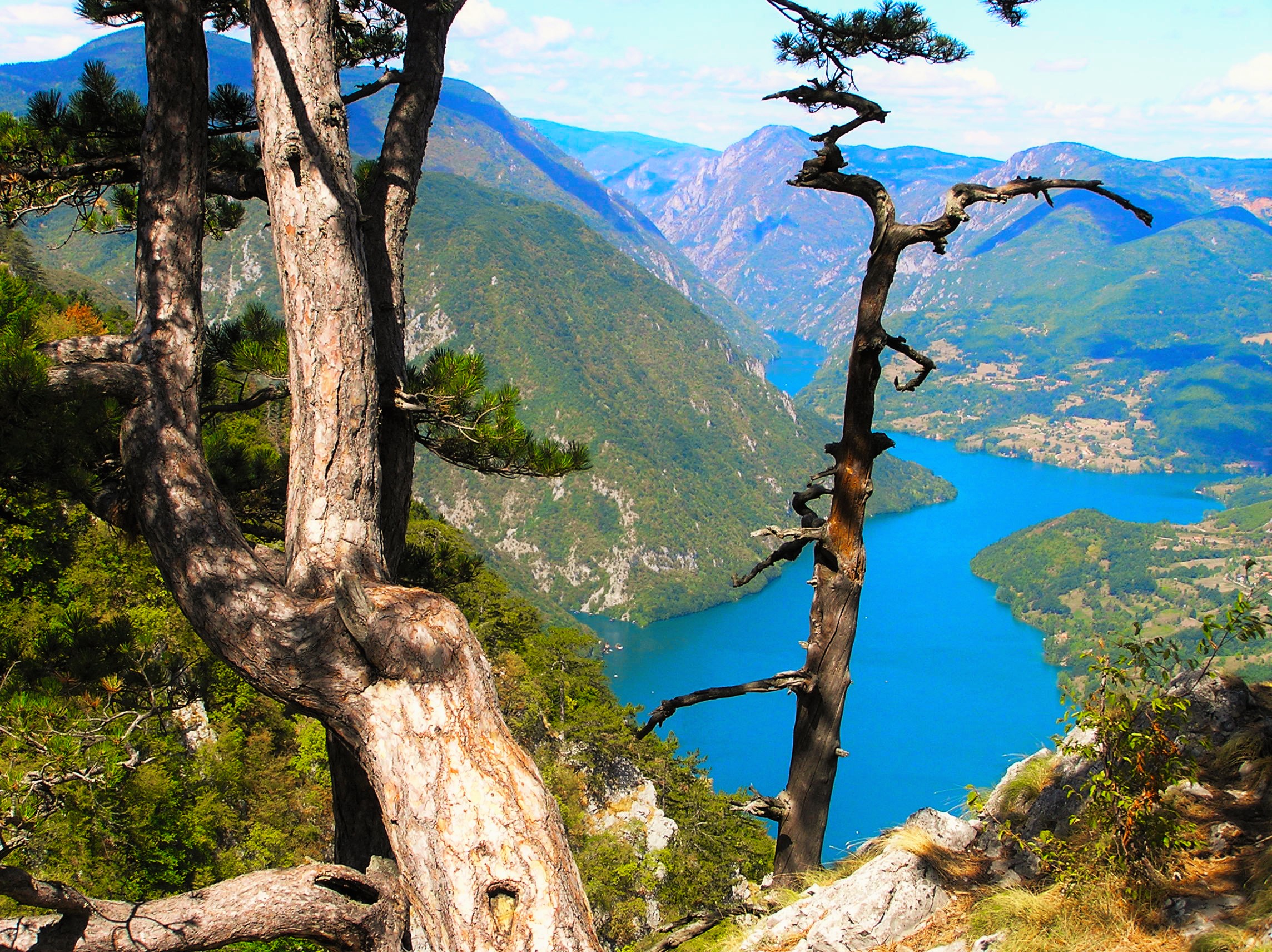 Nacionalni park Tara; Pogled na Drinu sa vidikovca Banjska stena; 01