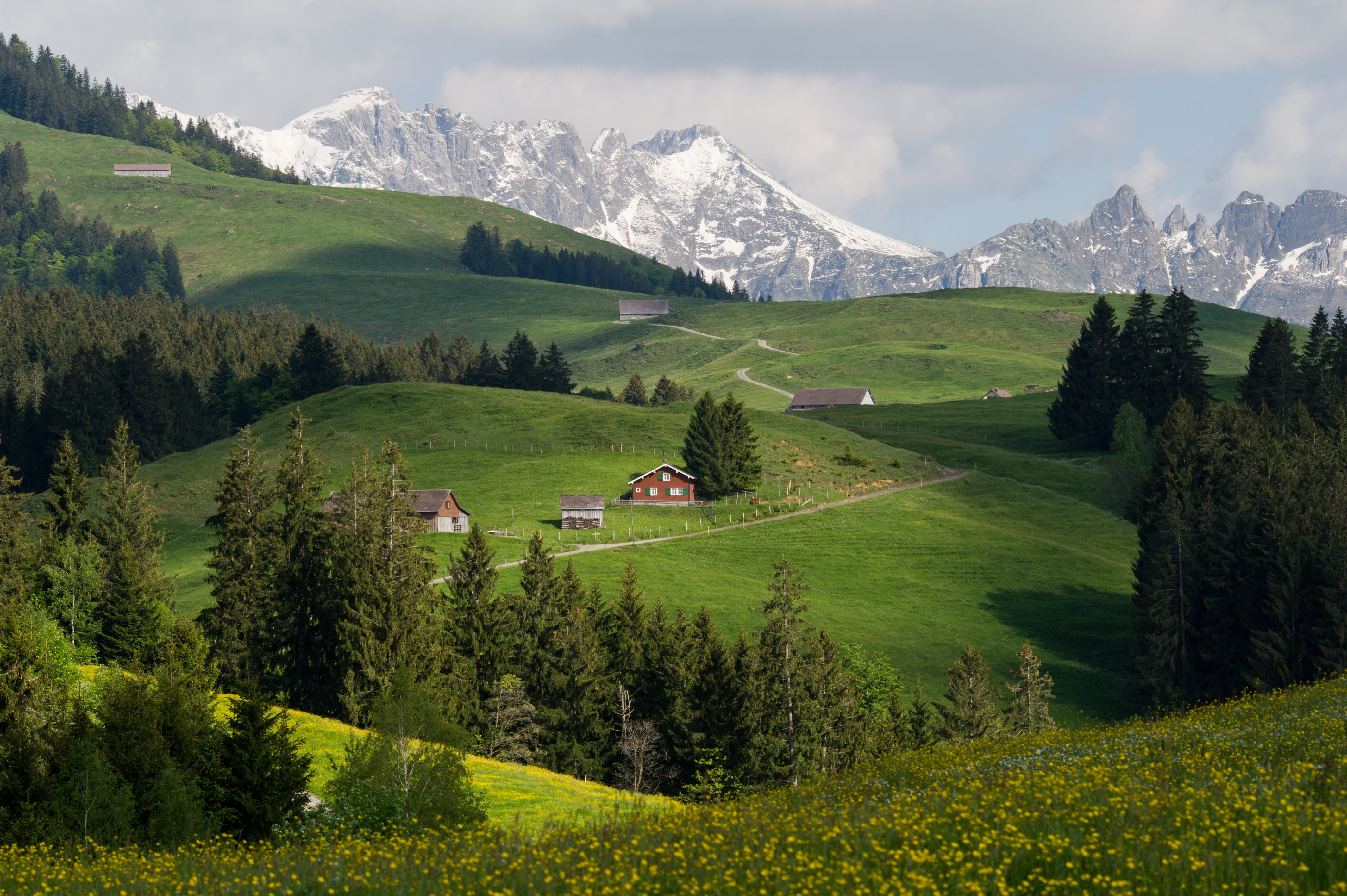 Neckertal 20150527-6384