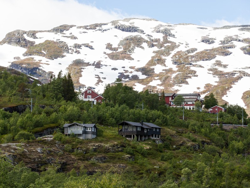 wooden houses in Norway, near Flåm, June 2014, picture 49