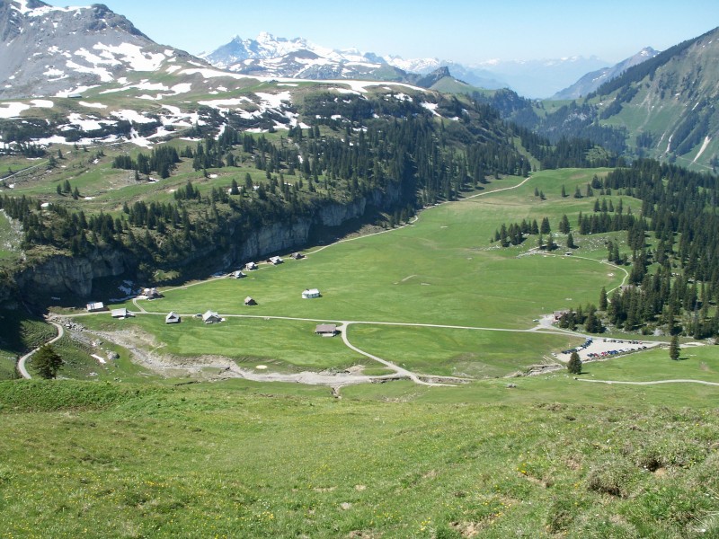 Ã„lggi Alp