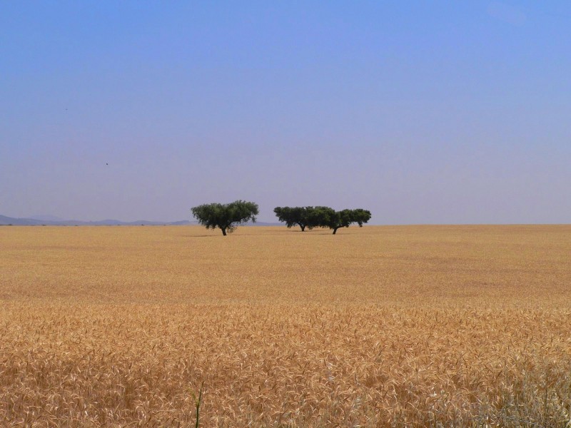 Alentejo 29 5 5 edit