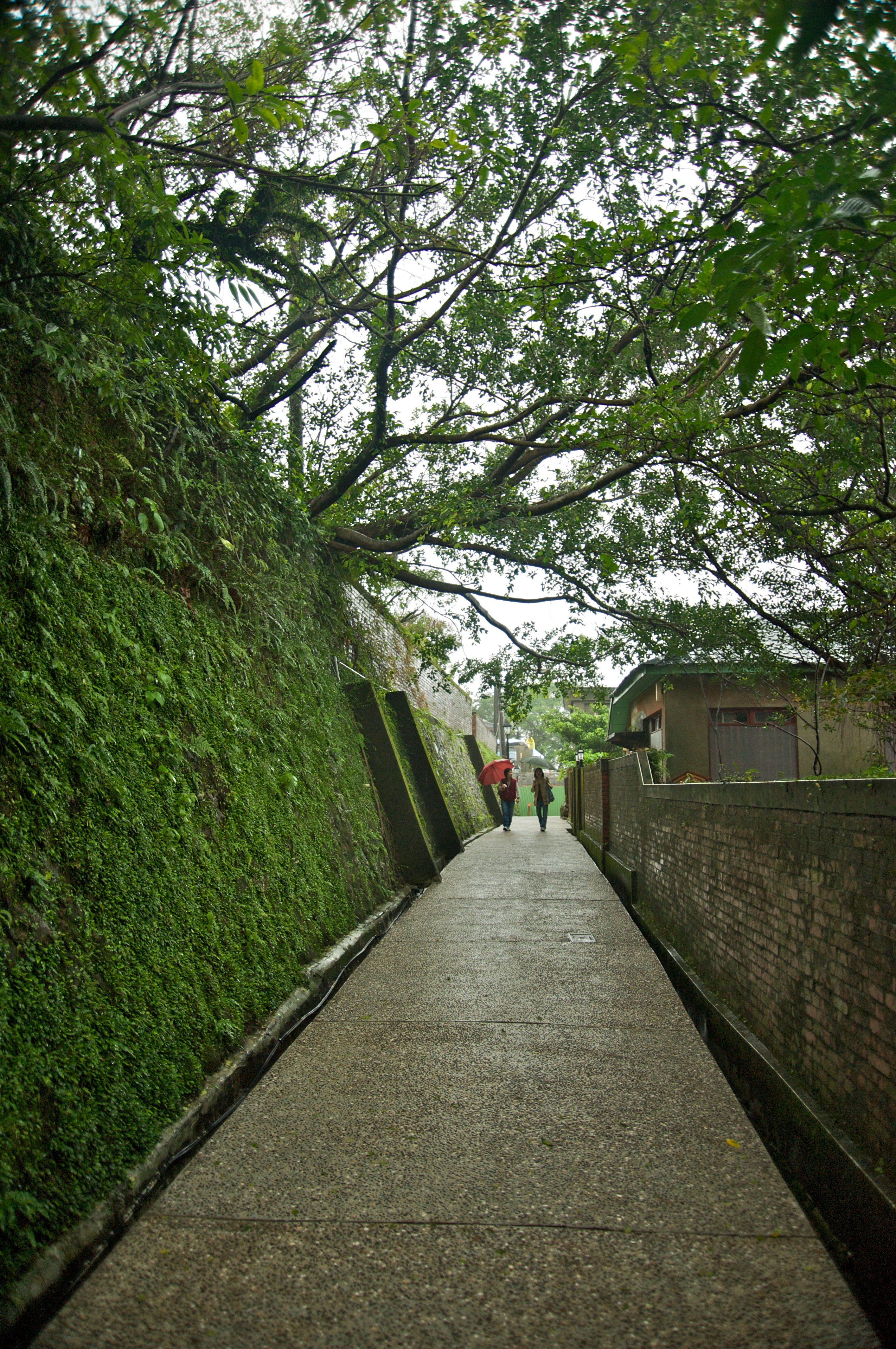 Taiwan 2009 JinGuaShi Historic Gold Mine Ancient Alleyway Walls FRD 8687